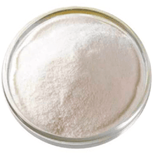 Вытяжка из пантов алтайского марала